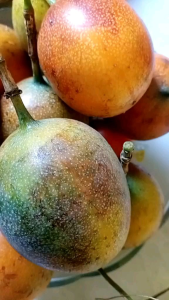 JUAL BUAH MARKISA /KONYAL MADU SEGAR MANIS ISI 1 KG
