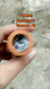 Pot Mini Aquascape 30 Pcs (Pot Tanaman Air) pakai kapas untuk Media Tanam Tanaman terbuat dari Tanah liat yang dibakar