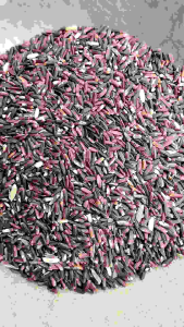 ketan hitam makanan burung perkutut campuran milet dll kemasan 100gram