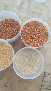 gạo tấm rang gồm 4_7 màu (100 g)