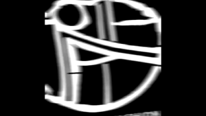 12Pcs Celana Segiempat Short Anak Perempuan Motif Bintik Bunga Spandek Premium Jawahirah Fashion