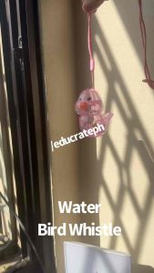 educratePH Bird Whistle Toy – Musical Water Whistle with Dual Play | Fun Sound Toy for Kids 3+