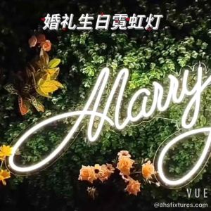Marry ❤️ me ❤️ Dinner Party Wall Decoraton led neon sign