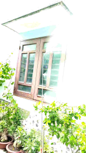 Cần phun thuốc trừ sâu inox  taiwan .