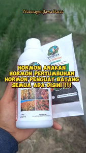 YANG ASLI DISINI - Naturagen-Xtra Pupuk Organik cair- Pupuk Padi Cabai Jagung Sawit Meningkatkan Hasil Panen Paket Promo Pupuk Organik Garansi Produk Rijec - Lazada
