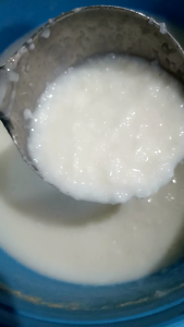 [HCM] MẺ CHUA / CƠM MẺ