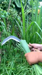 Sabit baja super tajam & perlengkapan rumah serbaguna