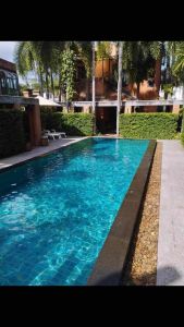 น้ำยาปรับสภาพน้ำใส ลด pH สระว่ายน้ำ เพิ่มความสดใสในน้ำ ปรับสมดุลในน้ำ pH Minus 3 ลิที่ pH Down Pool Bright สำหรับสวนบริเวณ