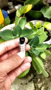 Jalu Underbone Rem / Gigi Strip Congkelan Rem & Gigi Underbone Universal