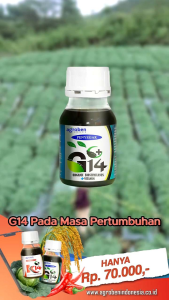 PAKET zpt G14 Agroben vitamin + penyegar Tanaman isi 3 botol