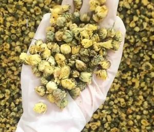 Trà Hoa Cúc vàng loại 1 ( Daisy Flower ) dùng pha trà