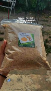 PROMO TERBATAS - BUMBU CILUNG PAPEDA 1 KG MURAH - SUPER GURIH DAN PEDAS - REMESAN BAWANG GORENG