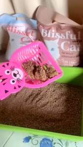 ทรายแมว จากแร่ธรรมชาติ แพ็ค 6 ห่อ