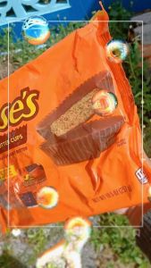 Reeses Peanut Butter Cups Snack Size น้ำหนัก 297 กรัม exp.09/2026