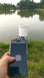 ให้อาหารปลา