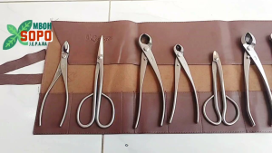 Satu Set Alat Bonsai Ryuga Stenlis 8 Alat Plus Tas Gulung