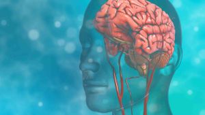 Hoạt huyết dưỡng não Kingphar hộp 30 viên nguyên liệu nhập Pháp