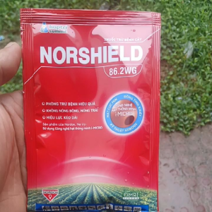 NORSHEILD 86.2WG thuốc trừ bệnh hiệu quả chống nấm hồng địa y rỉ sắt thán thư hiệu lực kéo dài