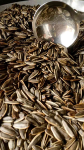 ตรงที่ไปกดติดตาม เมล็ดทานตะวัน อบขิง 1 kg ส่งฟรี ราคา 120 บาท ลูกค้า สุดท้ายเก็บคูปองส่งฟ