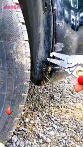 Baut Rivet Mobil Universal ISI 160PCS Clip Bumper Kancing Body Bentuk Acak Bahan Plastik OK