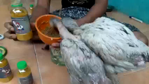 Jamu Pertumbuhan 💯% Herbal Membentuk Tulang Sejak Dini