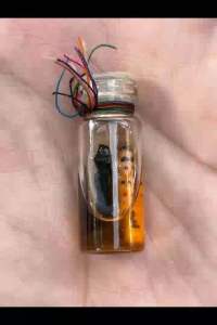 เจ้ารักยม เมตตามหานิยม เจรจาค้าขาย