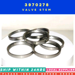 3928174 VALVE INSERT [6PCS/PACK] [MUST INQUIRE 1ST PRE-ORDER ONLY!!! LOCAL SUPPLIER WARRANTY] CUMMINS 4B3.9 6B5.9 6C8.3 AND MORE COMPATIBLE 3924582 3908830 3945250 3970278 3904715 3905861 CASH-IH: J924582