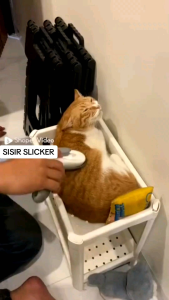 SISIR PRESS SLICKER PREMIUM SISIR BULU HEWAN PELIHARAAN
