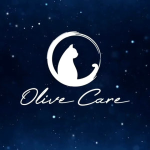 Olive Care Pembersih Bulu Kucing Anjing PET HAIR REMOVAL di Karpet Kursi Baju Kasur Lint Roller Portable Jangka Panjang
