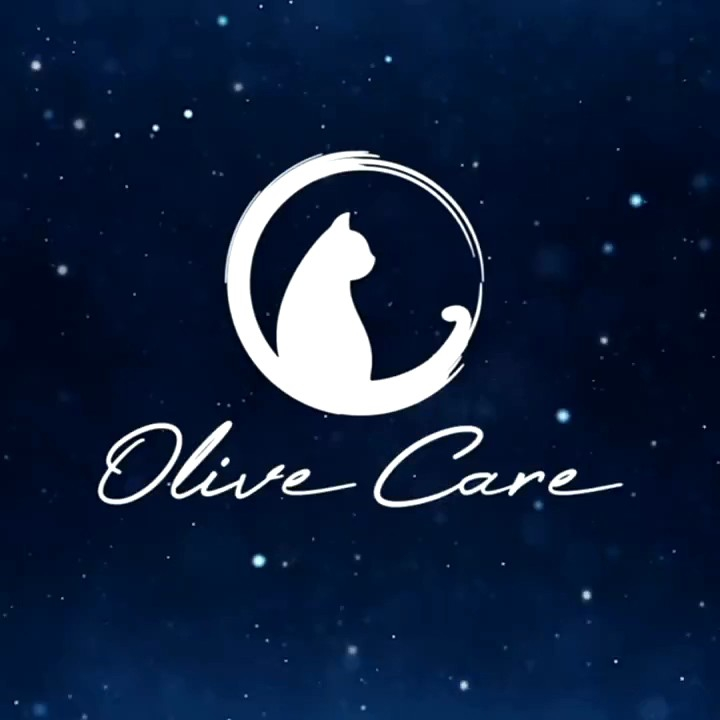 Olive Care Pembersih Bulu Kucing Anjing PET HAIR REMOVAL di Karpet Kursi Baju Kasur Lint Roller Portable Jangka Panjang