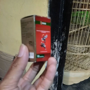 super strong multivitamin ayam aduan kemasan botol isi 10 kapsul