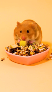 MAKANAN HARIAN HAMSTER SEEDMIX 100 GR (KODE#3)