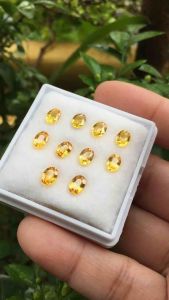 (เหมากล่อง) YELLOW SAPPHIRE บุษราคัมแท้ 10 เม็ด 5.6 กะรัต พลอยแท้ไฟดี สีสวย