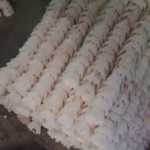 jual limbah shutelcock/cock badminton isi cock 13 buah per satu slop nya  harga murah