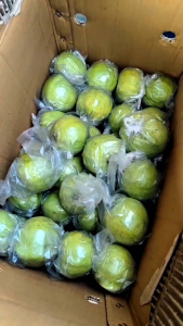 jambu kristal 1kg berkualitas