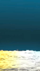 madu murni osing honey nektar bunga Randu asli 100%