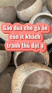 Gáo Dừa Cho Gà Ăn Gáo Dừa Để Nước Uống Cho Gia Cầm - Phụ Kiện Gà