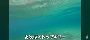 Spoon Surf Carolina Pop Lure Casting Lure Yumizuno Bukan Yamashita