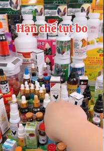 RELOAD PLUS 15ML cung cấp nguồn năng lượng và sức mạnh nhanh chóng