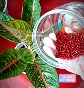 20 GRAM PUPUK MERAH SLOW RELEASE SK COTE PRECISE 19-10-13+25MG0+TE 200