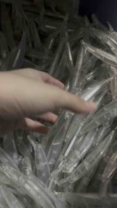 Minnow Blank Ryuki 80s 12gram FREE MATA