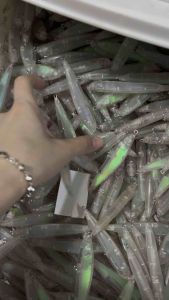 Minnow Blank Pensil Shiverstick 90mm 12.5gram Sinking Free mata