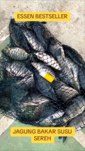 Essen Jagung Bakar Susu Sereh Isi 30ml Essen Spesial Ikan Mas Rame dan Indukan Pesan Hari Ini Dikirim Hari Ini Bisa COD