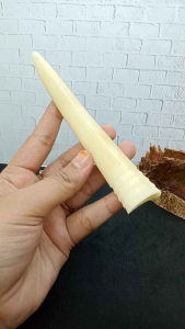 Pipa Once Klokotan Tulang Iga Model Taring H621