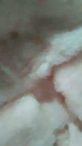 Jaket Bayi New Born & Sweater Baby Premium Lembut