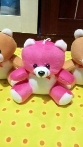 PROMO 45 RIBU DAPAT 5 BONEKA TEDDY BEAR 15CM BUAT BUKET ATAU BUAT GANTUNGAN KUNCI