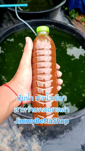 ปุ๋ยน้ำ เร่งน้ำเขียว สารอาหารของสาหร่ายคลอเรลล่า 1 ขวด 600 ml. ใช้ง่าย สะดวก ประหยัดเวลา น้ำเขียวเป็นเร็ว พร้อมคู่มือการใช้งาน