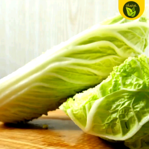 100 seeds for planting binhi pantanim chinese cabbage napa pechay baguio vegetable plant