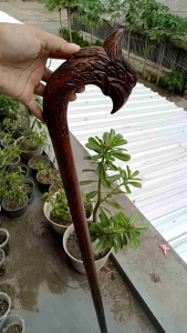 Tongkat Jalan Kayu Galih Asem Ukir Burung Garuda S27