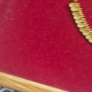 Coin neckset with earrings